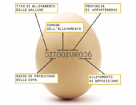 uovo-etichetta