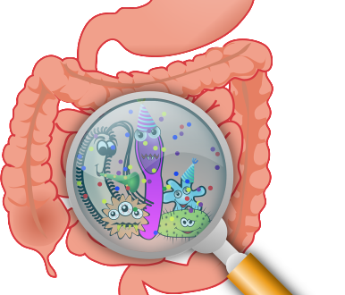 probiotici-intestino