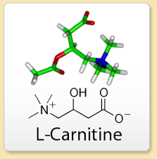 carnitina-formula