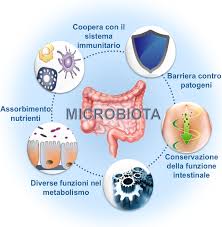 Malattie infiammatorie croniche intestinali (MICI) e alimentazione