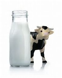 latte e mucca