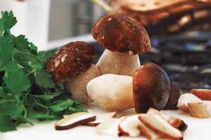 funghi-porcini