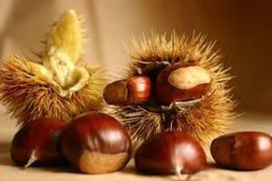 Castagne, come si conservano?