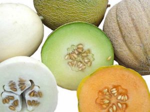 Melone: straordinarie proprietà nutritive